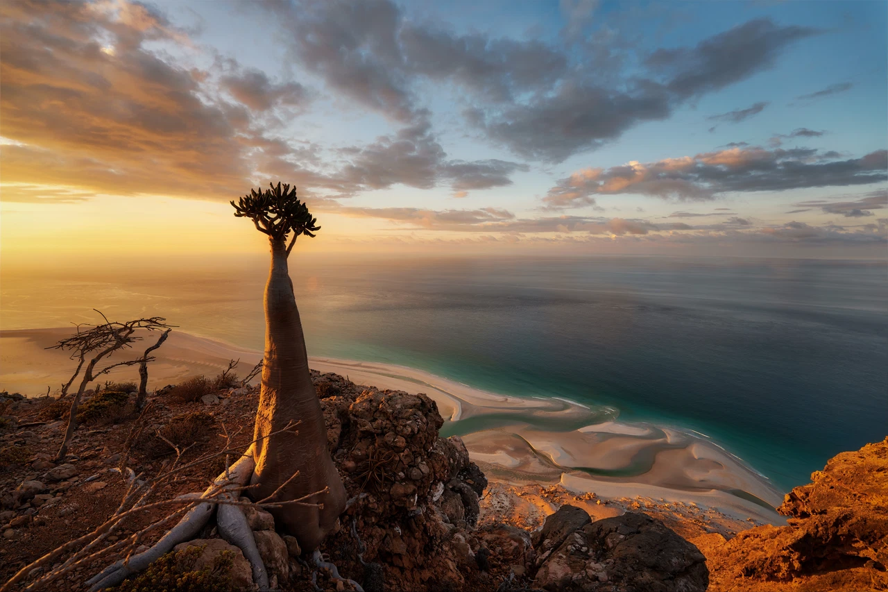 Socotra Island